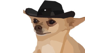 picture of a chihuahua wearing a cowboy hat